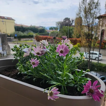 Marina Hotel Torri Del Benaco